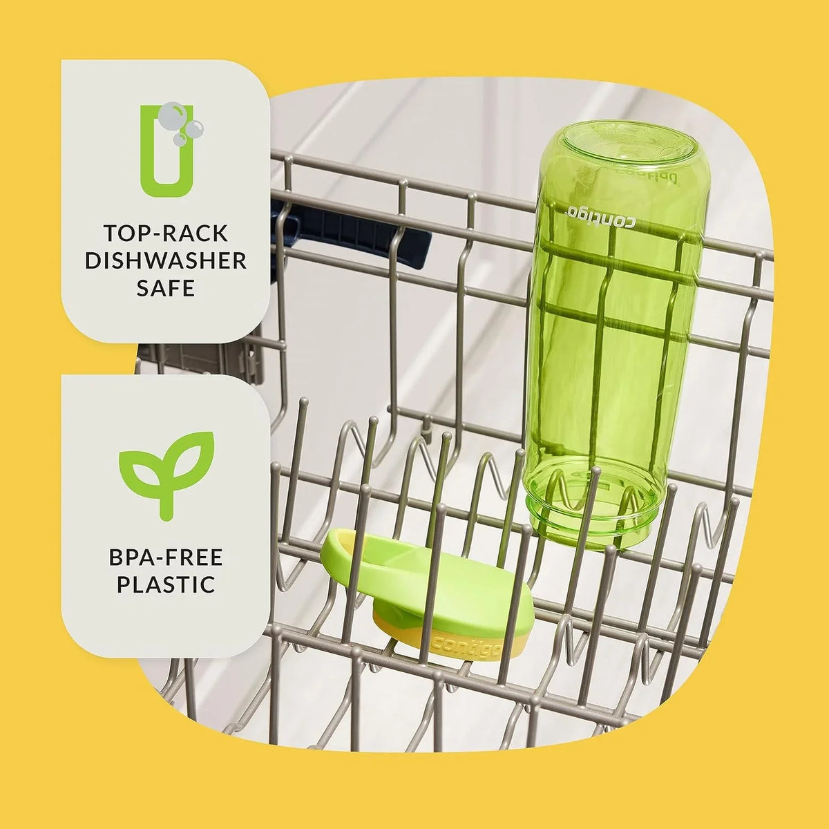 Contigo Kids’ Micah Water Bottle with Leak-Proof Lid, 20oz, Lime/Pineapple